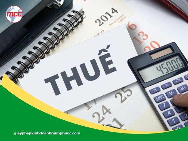 14 chính sách thuế mới có hiệu lực từ 01/07/2025