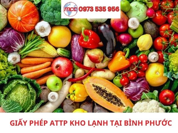 Giấy phép An toàn thực phẩm kho lạnh tại Bình Phước
