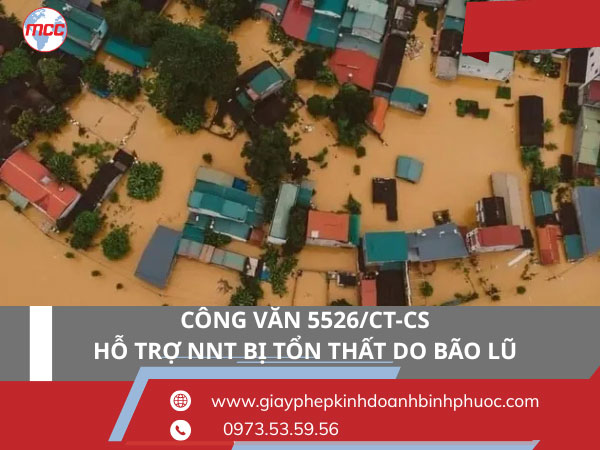 Người dân khắc phục thiệt hại sau bão lũ, ảnh minh họa hỗ trợ NNT bị tổn thất do thiên tai
