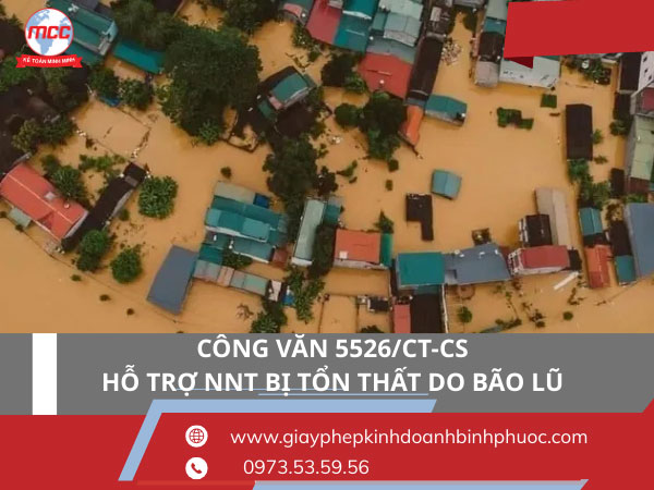 Người dân khắc phục thiệt hại sau bão lũ, ảnh minh họa hỗ trợ NNT bị tổn thất do thiên tai